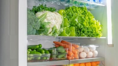 صيانة توشيبا ثلاجات في مصر بأيدي فنيونا المتميزون