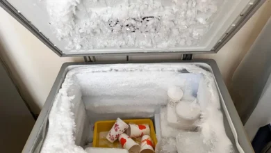 افضل خدمات الصيانة في صيانة ديب فريزر هامبورج مع خبراء شركتنا